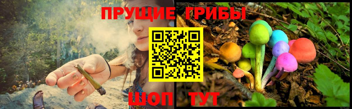 Псилоцибиновые грибы Magic Shrooms  Вход с VPN  Галлюциногенные грибы Psilocybine cubensis  Астрахань 